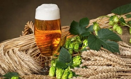 精釀啤酒中，如何選擇恰當?shù)慕湻椒ǎ? class=
